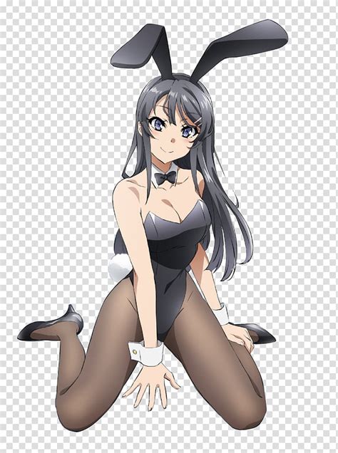 Seishun Buta Yarou Wa Bunny Girl Senpai No Yume Wo 800x1074 Wallpaper