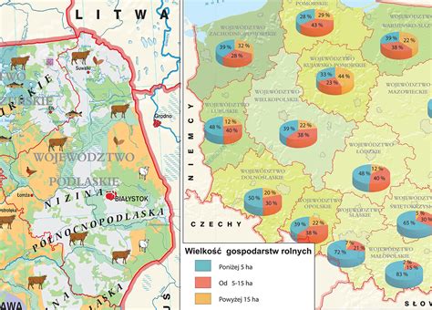 Rolnictwo W Polsce Uprawy I Struktura U Ytkowania Ziemi Mapa