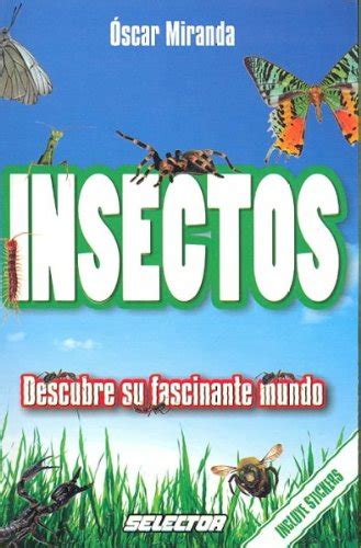 Insectos Insects Descubre Su Fascinante Mundo Discover Their