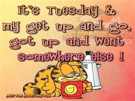 Garfield Tuesday