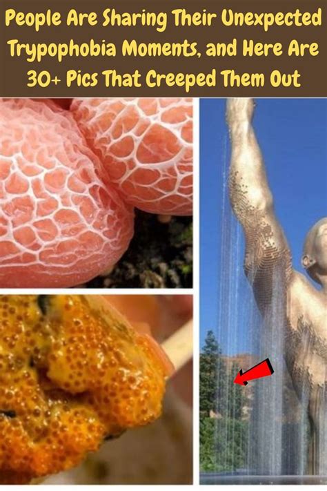 People Are Sharing Their Unexpected Trypophobia Moments And Here Are