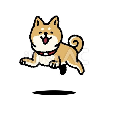 走り回るかわいい柴犬イラスト No 22936223｜無料イラスト・フリー素材なら「イラストac」