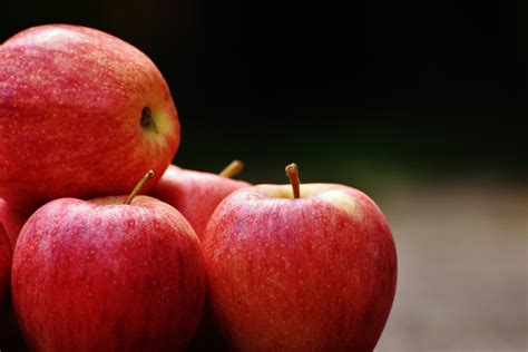 Gambar Alam Menanam Buah Manis Bunga Matang Makanan