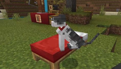 Minecraft Bedrock Update 1.10 Patch Logs - New Crossbows, Shield, Cat And More