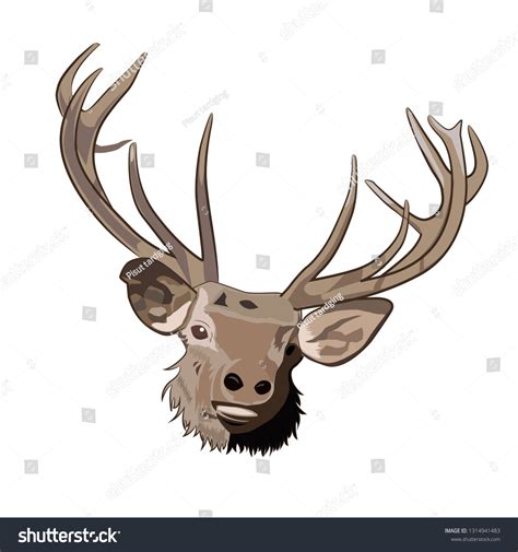 Reindeer face clipart - Royalty Free Stock Vector 1314941483 - Avopix.com