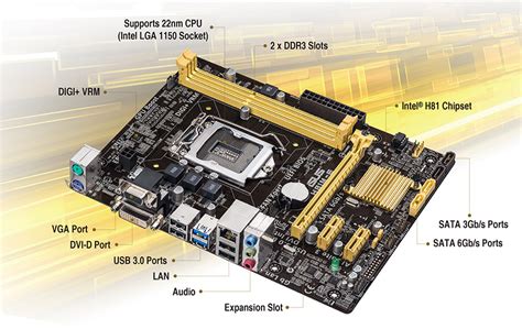 H81m E Motherboards Asus Global