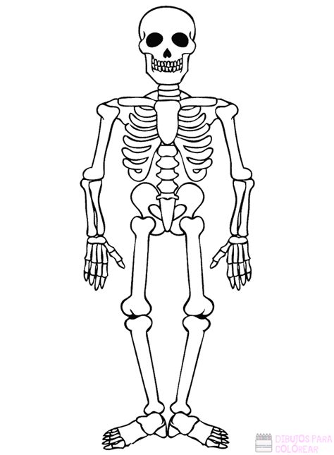 Dibujos De Esqueletos Para Decorar Hoy