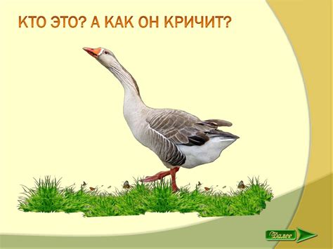 «Кто как кричит?». Знакомство детей (1,5-2 года) с животными и птицами ...