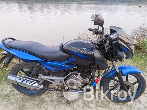 Bajaj Pulsar Race For Sale Gournadi Bikroy