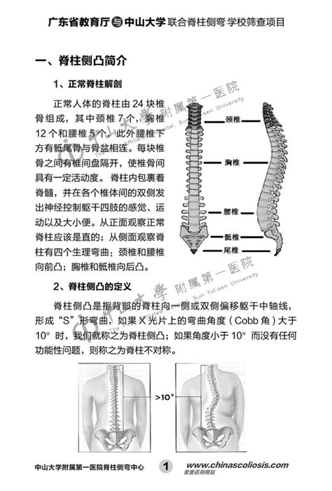 脊柱侧弯学校筛查基本知识宣传手册广东省新苗脊柱侧弯预防中心 脊柱侧弯新苗基金