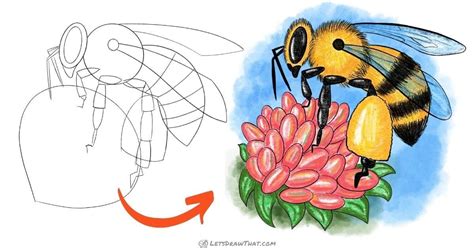 How To Draw A Bumblebee Very Simple And Very Cute