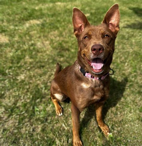 AI-driven diagnostics will arrive at upstate medical center soon 9