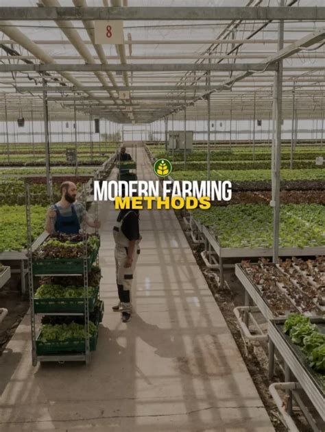 5 Modern Farming Methods That You Must Know Agriculture Review