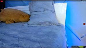 Kimikooを視聴 Asian Babe Solo Asian Babe Porn SpankBang