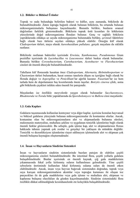 Solution Microorganism Contamination In Food Gidalara M Kroorgan Zma