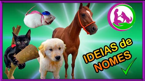 12 Ideias De Nomes Para Animais Youtube