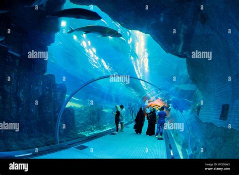 L Image De L Aquarium De Duba Dans Le Centre Commercial De Duba