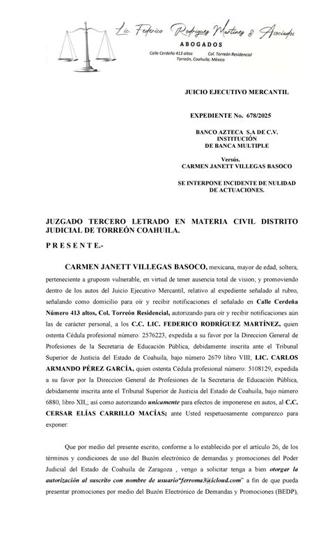 Incidente De Nulidad De Actuaciones 1
