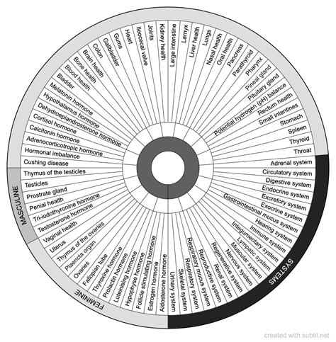 Subtil Dowsing Chart Health System