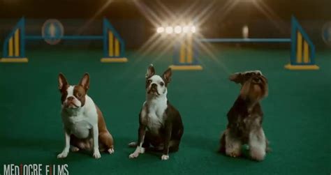 Preview Funniest Superbowl Liii Ads Videos Metatube