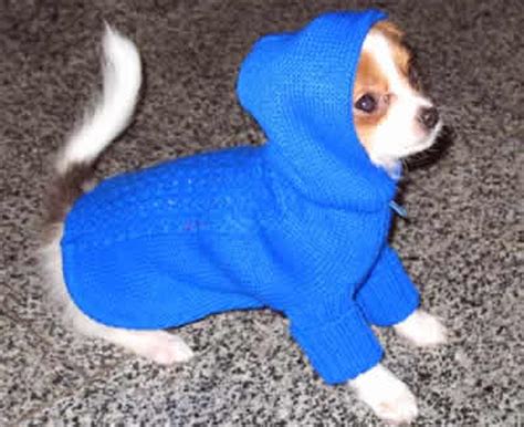 Pets Inform - - Одежда
