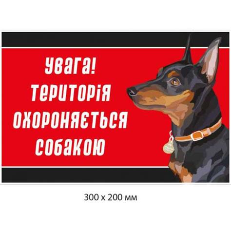 Купить Осторожно злой пес табличка 300х200 мм артикул 8922 недорого в ...