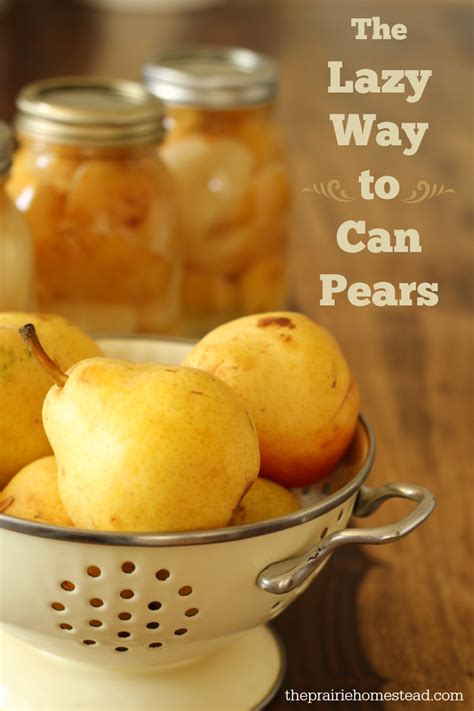 How To Can Pears Without Sugar The Prairie Homestead Recipe Canned Pears Canning Recipes