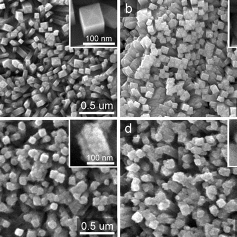 ESR Spectra Of Radicals Trapped By DMPO In The Presence Of TiO2 CdS 6