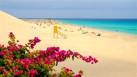 Jandia: Fuerteventura’s Sandy Paradise