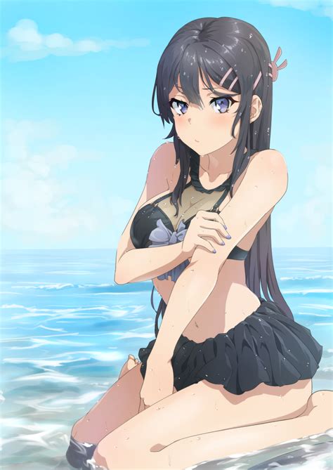 Sakurajima Mai Seishun Buta Yarou Series Image By Foxystaches