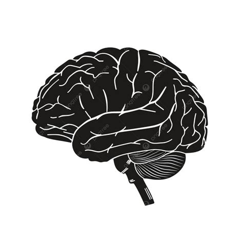 brain art 2