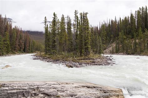 Sunwapta Falls Hike- Guide to Hiking Sunwapta Falls Trail