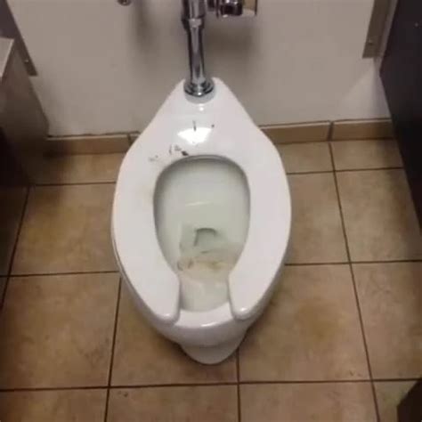 Free Love Randalin Porn Videos XHamster