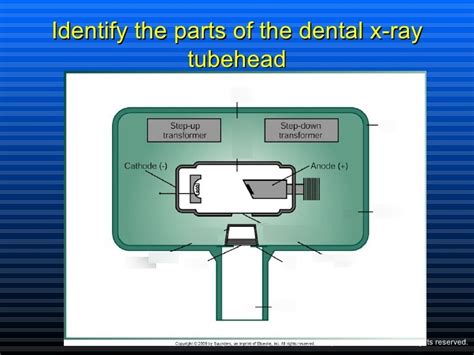 Diagram Of X Ray Tube Head Quizlet