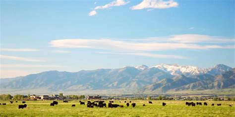 bozeman hotels