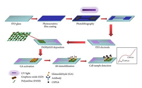 Experiment Design Of The Polyaniline Graphene Oxide PANI GO