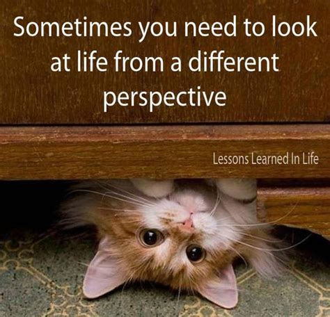 Sometimes You Need To Look At Life From A Different Perspective