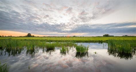 Evening View Of The Dutch Polder Landscape Stock Photo Image Of