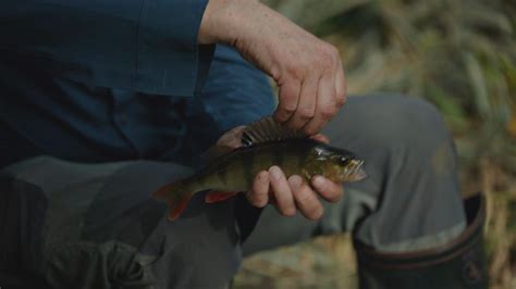 Bbc Two Mortimer Whitehouse Gone Fishing Series River Ouse