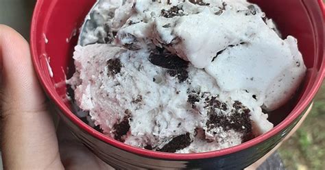 Resep 15 Ice Cream Chocochips Pondan Oreo Ala Regs Dish Oleh Reg