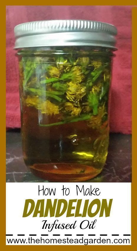 How To Make Dandelion Infused Oil Artofit