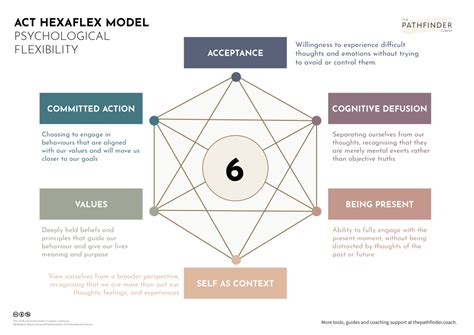 ACT Hexaflex Model The Pathfinder Coach