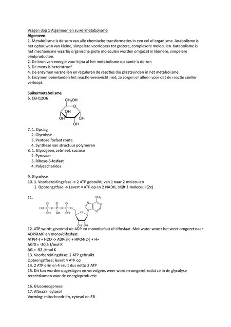 Biochemie Metabolisme Werkcolleges Uitwerkingen Vragen Dag