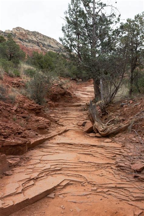 Dry Creek Wash Footpath On Mescal Trail Stock Photo Image Of Sedona