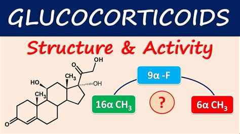 Glucocorticoids - Structure and activity - YouTube