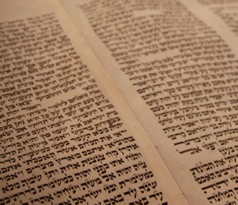 Симхат Тора - Shalom Adventure Magazine