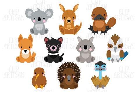 Australian Animals Clipart Kiwi Animals Graphic by ClipArtisan ...