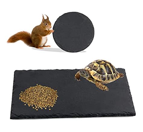 Linifar 2 Pack Reptile Basking Platform Rock Tortoise Slate Feeding