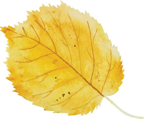 Watercolor autumn leaf 12616969 Vector Art at Vecteezy