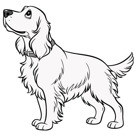 Top Traits Of Cocker Spaniels, Cocker Spaniel, Cocker Spaniel Dog, Dog
